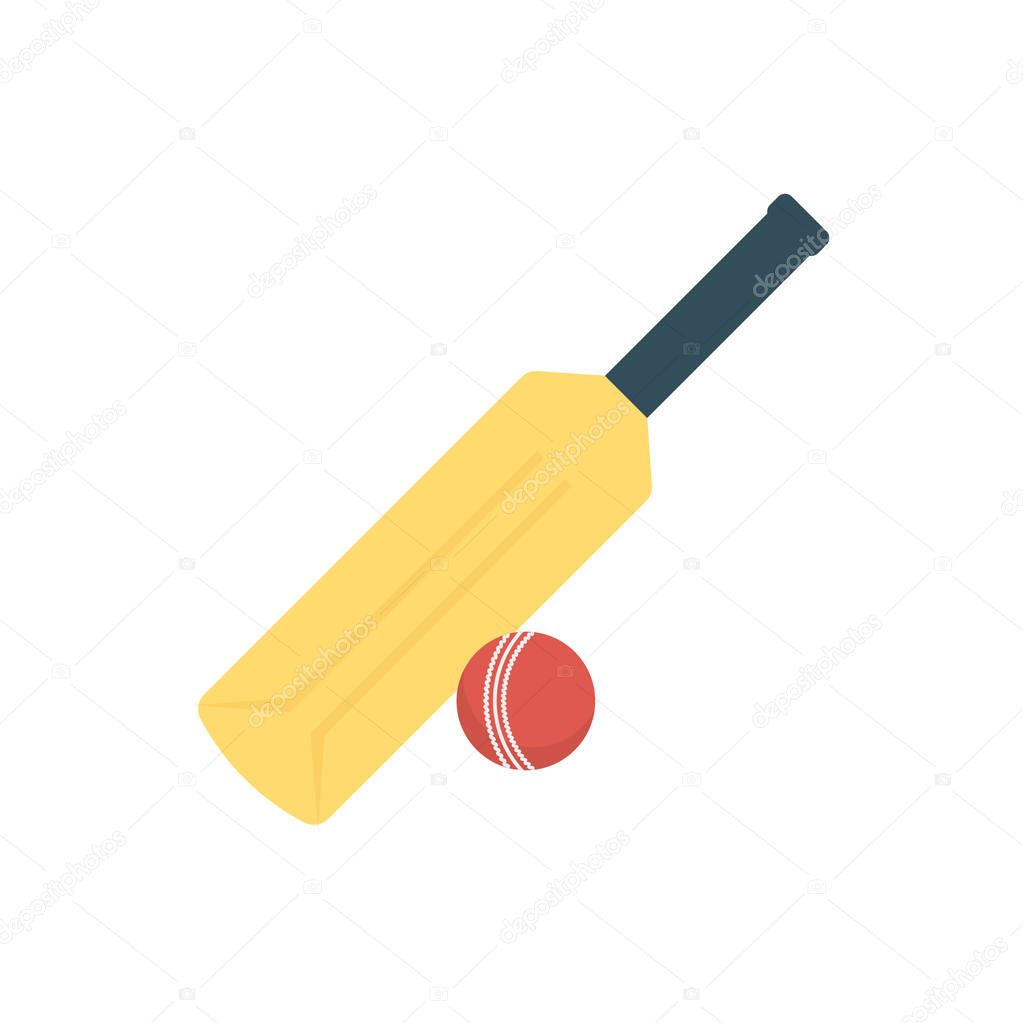 Activity vector flat icon set for cricket   ,  bat  and  activity