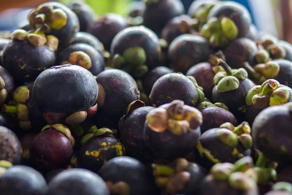 Mangosten meyve kraliçesi