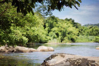 Dağları, ormanı ve önünde bir nehri olan bir manzara