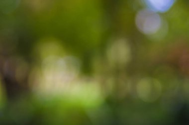 Yeşil yaprak bokeh arka plan, soyut arka plan