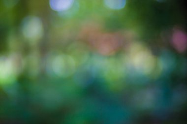 Yeşil yaprak bokeh arka plan, soyut arka plan