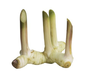 galangal beyaz arkaplanda izole edildi