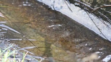 Su akışı ahşap yürüyüş yolu düşüyor