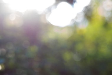 Yeşil yaprak bokeh arka plan, soyut arka plan