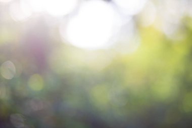 Yeşil yaprak bokeh arka plan, soyut arka plan