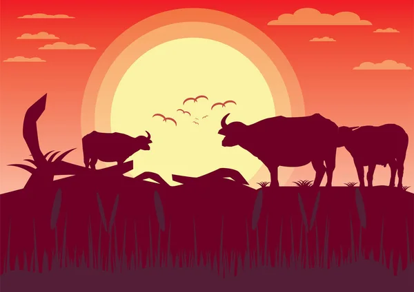 Büffel Sonnenuntergang Abend und Grasland Wiese Landschaft.Vektor Illustrator — Stockvektor