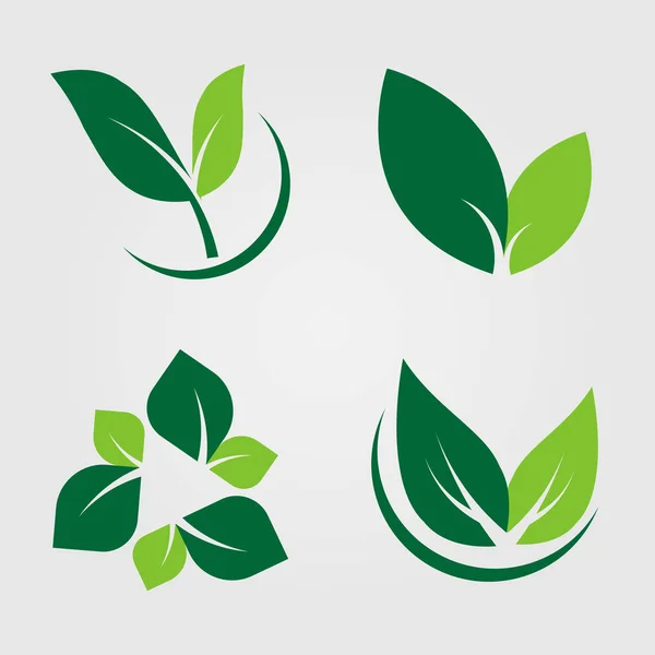Set feuilles vertes Icône, étiquette naturelle sur fond blanc. Illustration vectorielle — Image vectorielle