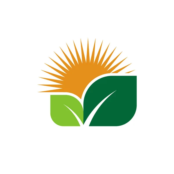 Екологічні логотипи зеленого листя значок елемента природи на білому тлі. Векторний ілюстратор — стоковий вектор