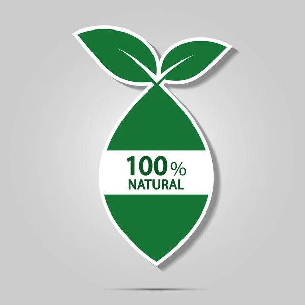 Concepto de energía ecológica, etiqueta 100% natural. Ilustración vectorial . — Vector de stock