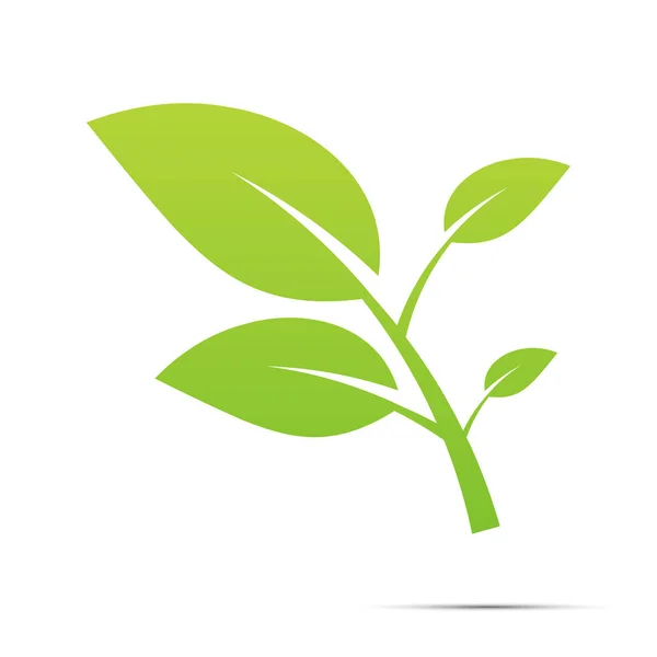 緑の葉のロゴ、生態学の性質。ベクトルイラスト. — ストックベクタ