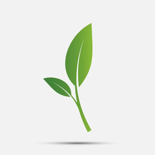 Groene blad logo, ecologie natuur. Vector illustratie. — Stockvector