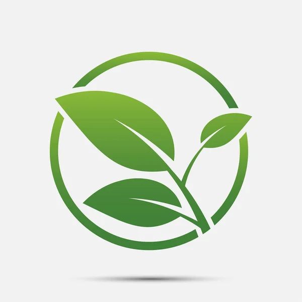 Logo de hoja verde, naturaleza ecológica.Ilustración vectorial . — Vector de stock