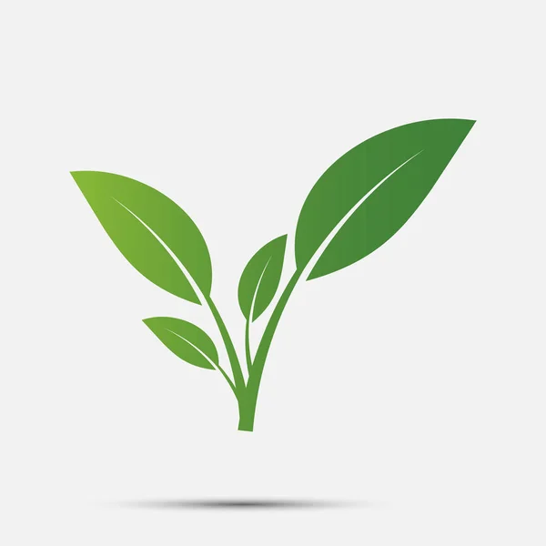 Green leaf logo,ecology nature.Vector illustration. — Stock Vector