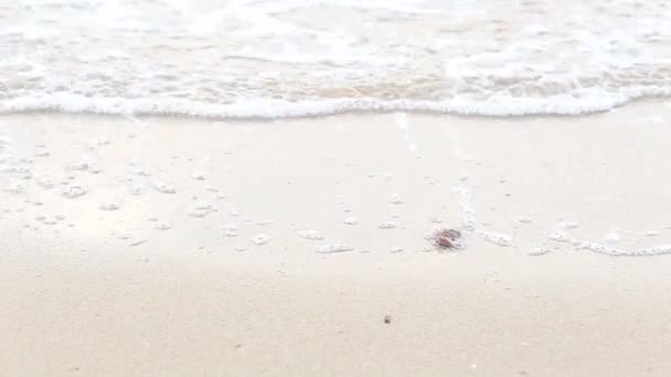 Smalle Strand Lijn Zee Golven Met Wave Crashen Sandy Shore — Stockvideo