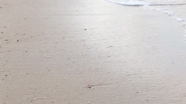 Línea Playa Estrecha Olas Del Mar Con Olas Que Estrellan — Vídeo de stock