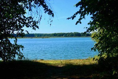 Çam ağaçlı bir orman gölünde mavi su