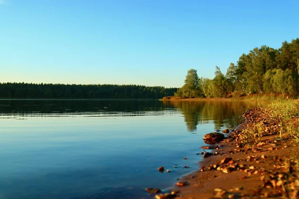Agua azul en un lago de bosque con reflejo —  Fotos de Stock