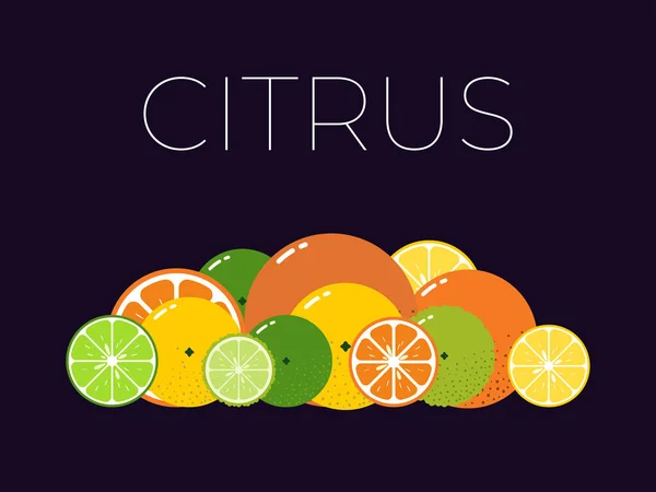Embalagem de frutas cítricas vetoriais e metade cortada de citrinos no fundo escuro —  Vetores de Stock