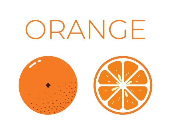 Vetor de laranja e metade cortada de laranja sobre fundo branco —  Vetores de Stock