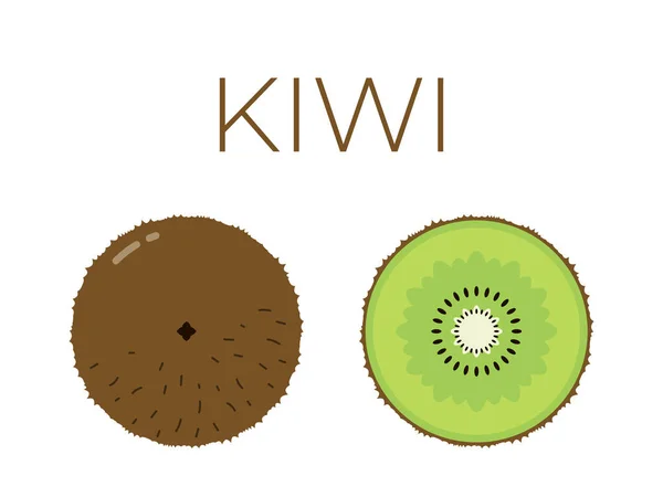 Vetor de kiwi e metade em fatias de kiwi no fundo branco —  Vetores de Stock