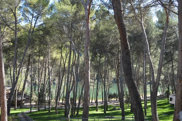 Beautiful River Beach On The Tagus River Surrounded By A Beautiful Pine Forest As It Passes Through The Mount Range Of Altomira In Albalate. Landscapes Travel Holidays. October 29, 2016. Albalate De Zorita Guadalajara Castilla La Mancha Spain.