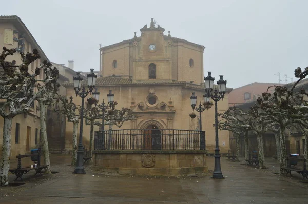 Huvudsakliga Fasad Kollekt Till Nuestra Señora Virgen Plaza Mycket Grumlig — Stockfoto