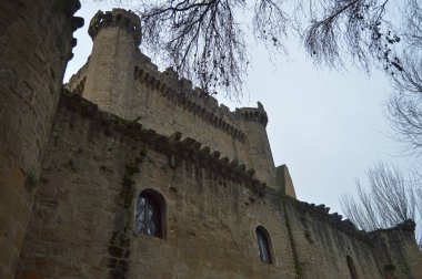 Ayrıcalıklı profili Sajazarra Castle olağanüstü yan atış korunmuş. Mimari, sanat, tarih, seyahat. 27 Aralık 2015. Sajazarra, La Rioja, Spain.