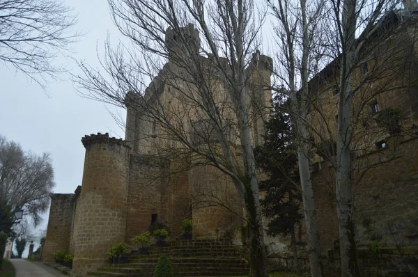 Фото Top Battlements Sajazarra Castle Spectacularly Preserved Side Shot Архитектура — стоковое фото