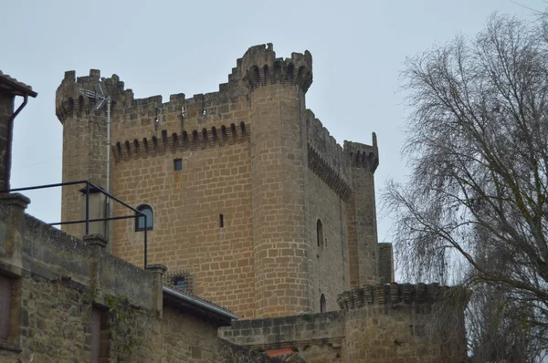 Foto Dei Migliori Merli Castello Sajazarra Spettacolare Colpo Laterale Conservato — Foto Stock