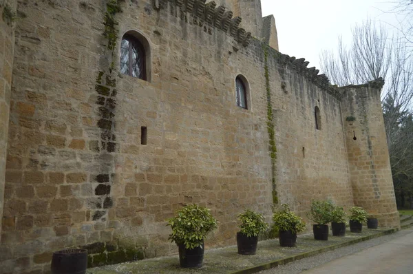 Sajazarra 城の下のショットは見事 サイド ショットを保持されます アート 2015 Sajazarra スペイン リオハ州 — ストック写真