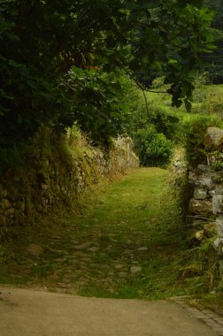 Llanes mecliste Encantau Camin rotanın fantastik dumanlı yol. Doğa, seyahat, manzaralar, ormanlar, fantezi. 31 Temmuz 2018. Valle De Ardinasa, Venta Köyü, Asturias, İspanya.
