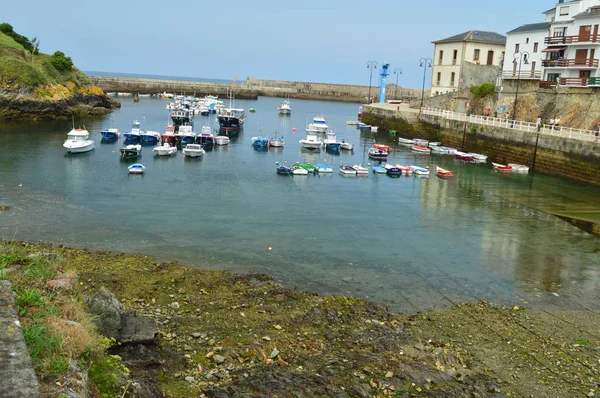 Belas Vistas Porto Pesca Tapia Casariego Natureza Viagens Recreação Agosto — Fotografia de Stock