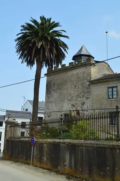 Fachada Lateral Hermoso Palacio Junto Una Palmera Muy Alta Castropol —  Fotos de Stock