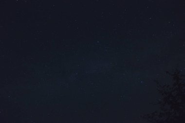 Samanyolu ön planda bir ağaç dalları ile fotoğraf çekmek. Gece fotoğraf, manzaralar, Astroloji, bilim. 2 Ağustos 2018. Lugo Galicia İspanya.