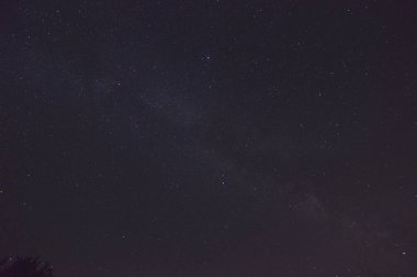 Samanyolu ön planda bir ağaç dalları ile fotoğraf çekmek. Gece fotoğraf, manzaralar, Astroloji, bilim. 2 Ağustos 2018. Lugo Galicia İspanya.