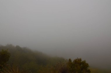 Bir gün Medulas kadar siste ile Medulas antik Roma altın madeni hatırlıyor sis. Doğa, seyahat, manzaralar, geçmiş. 3 Kasım 2018. Medulas. Aslan. İspanya.