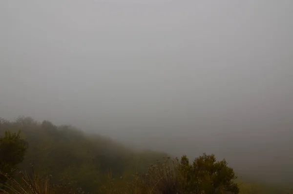 Fog That Recalls The Medulas Ancient Roman Gold Mine In A Day With Much Fog In The Medulas. Nature, Travel, Landscapes, History. November 3, 2018. The Medulas. Lion. Spain.