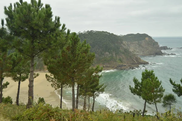 Aussichtspunkt Von Dem Aus Sie Durch Die Bäume Oleiros Strand — Stockfoto