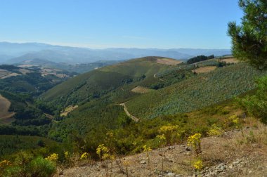 Kırsal, Galicia İspanya ile arka plan Se sınırları içinde dağların muhteşem manzarası. Doğa, manzara, botanik, seyahat. 2 Ağustos 2015. Rebedul, Lugo, Galiçya, İspanya.