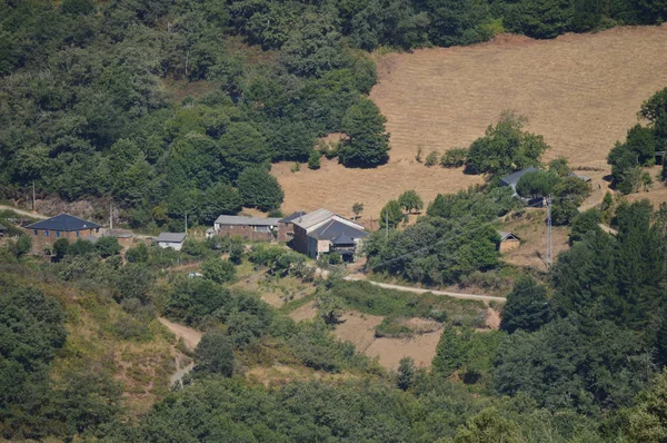 Hermosas Vistas Aéreas Aldea Villardoi Campo Galicia Naturaleza Paisajes Botánica —  Fotos de Stock