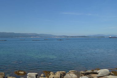 Arosa Adası'nda İç Midye Hatcheries ile Haliç. Doğa, Mimarlık, Tarih, Seyahat. 18 Ağustos 2014. Isla De Arosa, Pontevedra, Galiçya, İspanya.