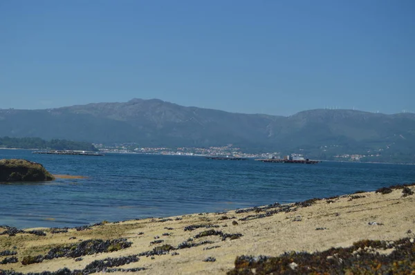河口与贝类孵化场在其内部在阿罗萨岛 2014 西班牙加利西亚 德阿罗萨斯 — 图库照片