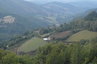 Navia De Suarna yakınlarındaki dağlarda çam ve okaliptüs dolu büyük Galiçya Ormanları. Doğa, Mimarlık, Tarih, Sokak Fotoğrafçılığı. 23 Ağustos 2014. Navia De Suarna, Lugo, Galiçya, İspanya.