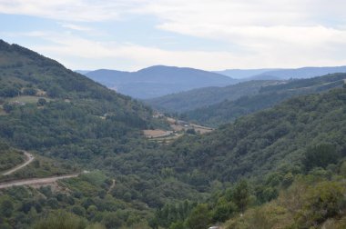 Navia De Suarna yakınlarındaki dağlarda çam ve okaliptüs dolu büyük Galiçya Ormanları. Doğa, Mimarlık, Tarih, Sokak Fotoğrafçılığı. 23 Ağustos 2014. Navia De Suarna, Lugo, Galiçya, İspanya.