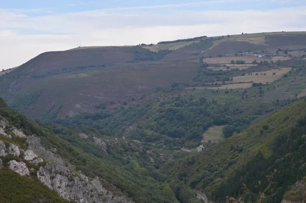 Grandes Bosques Gallegos Llenos Pinos Eucaliptos Las Montañas Cerca Navia —  Fotos de Stock