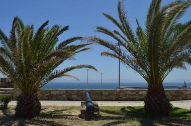 Tarifa'da İki Palmiye Ağacı Arasında Bir Top ile Afrika'nın Bakış Açısından Kutsal İpucu Görünümü. Doğa, Mimarlık, Tarih, Sokak Fotoğrafçılığı. 10 Temmuz 2014. Tarifa, Cadiz, İspanya.