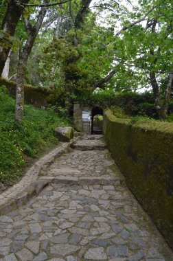 Mağribi Kalesi'ne Giriş, Sintra'da Denize Bakan Xii. Doğa, mimari, tarih, sokak fotoğrafçılığı. 13 Nisan 2014. Sintra, Lizbon, Portekiz.