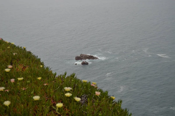 Rocky Island Wokół Cliff Rock Cape Sintra Przyroda Architektura Historia — Zdjęcie stockowe