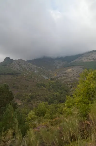 Magnifique Vallée Remplie Châtaigniers Menaçant Pluie Valverde Los Arroyos Octobre — Photo