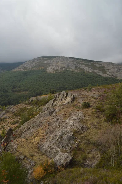 Magnifique Vallée Remplie Châtaigniers Menaçant Pluie Valverde Los Arroyos Octobre — Photo